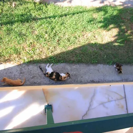 Konak Garden